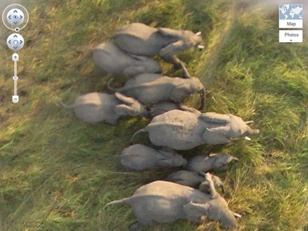 Google Earth image