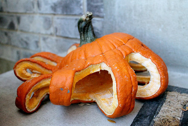 halloween pumpkin carving fails