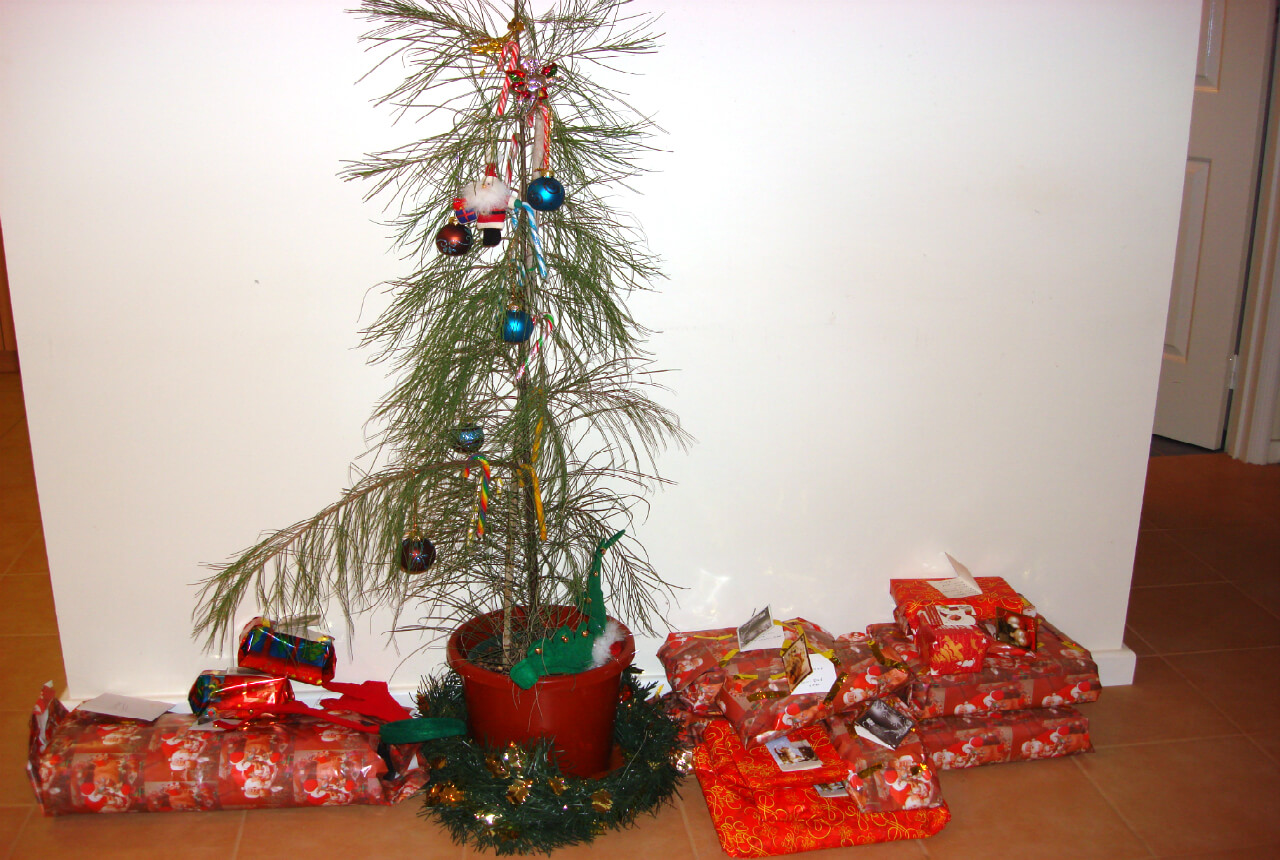 sad christmas trees