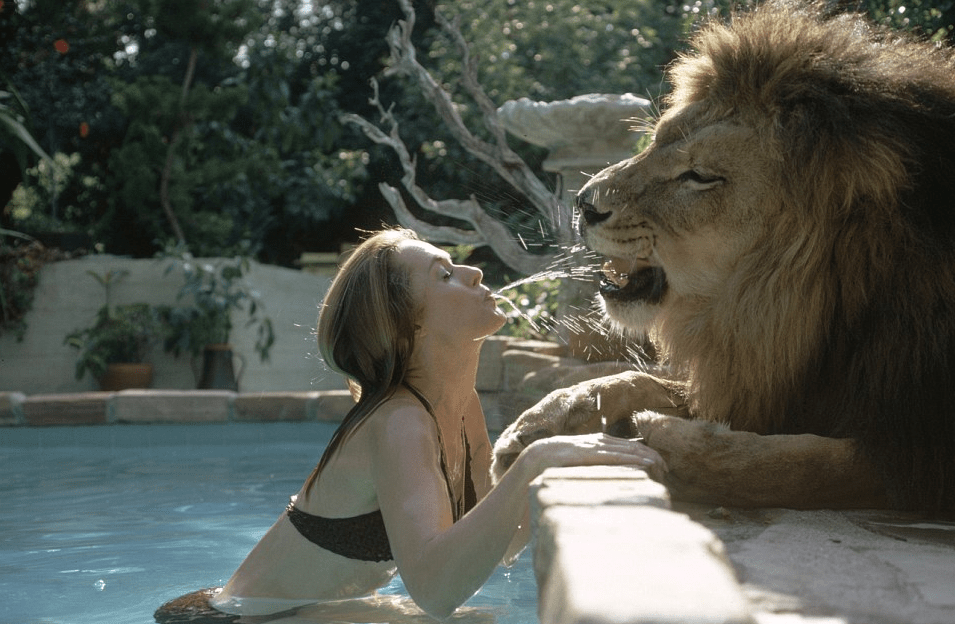 weird celebrity pets