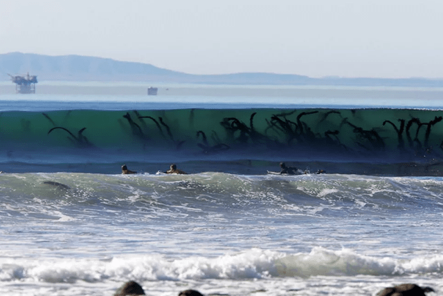 Thalassophobia