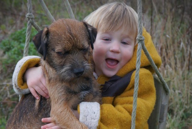 lost puppy