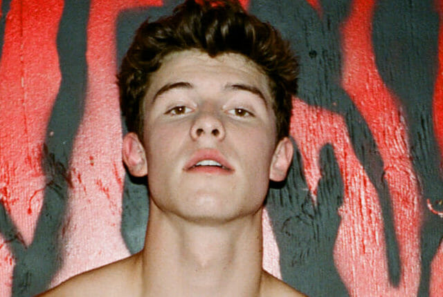 Shawn Mendes Is A Thirst Trap