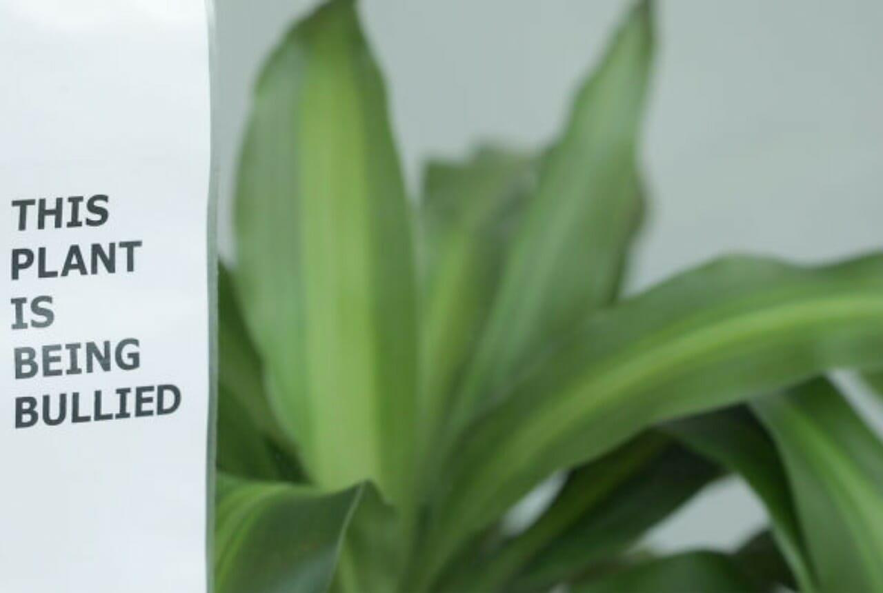 IKEA asked children to bully a plant for 30 days