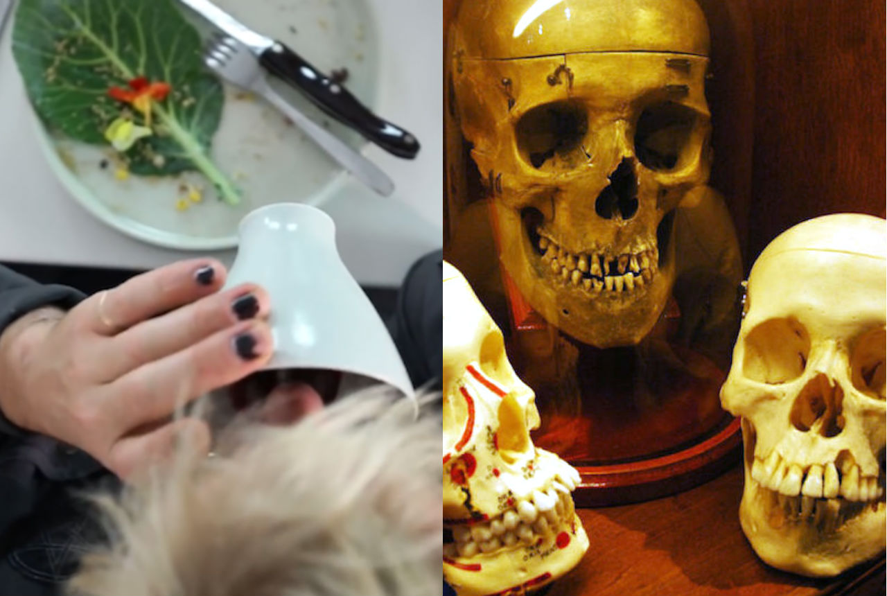 designer makes dinnerware from human remains