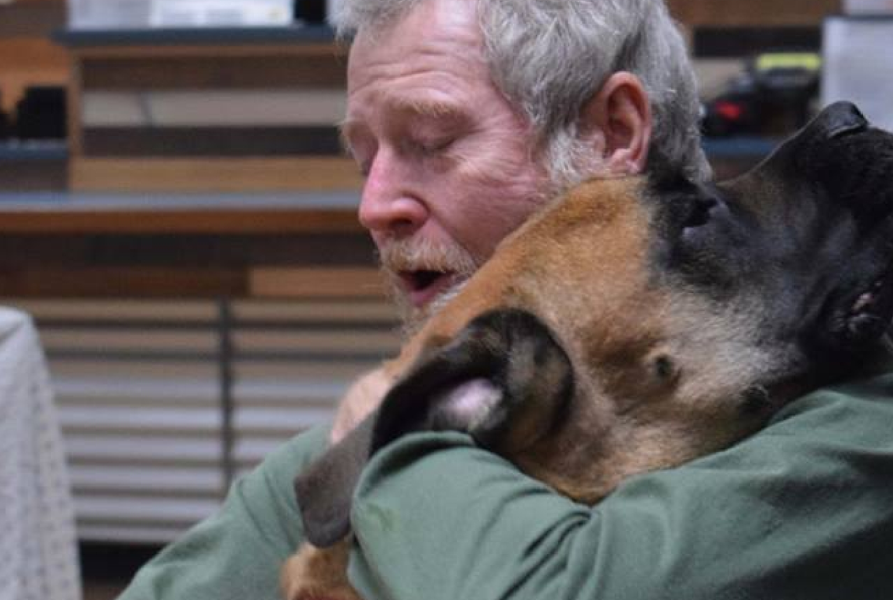 California Wildfire Pets Reunited