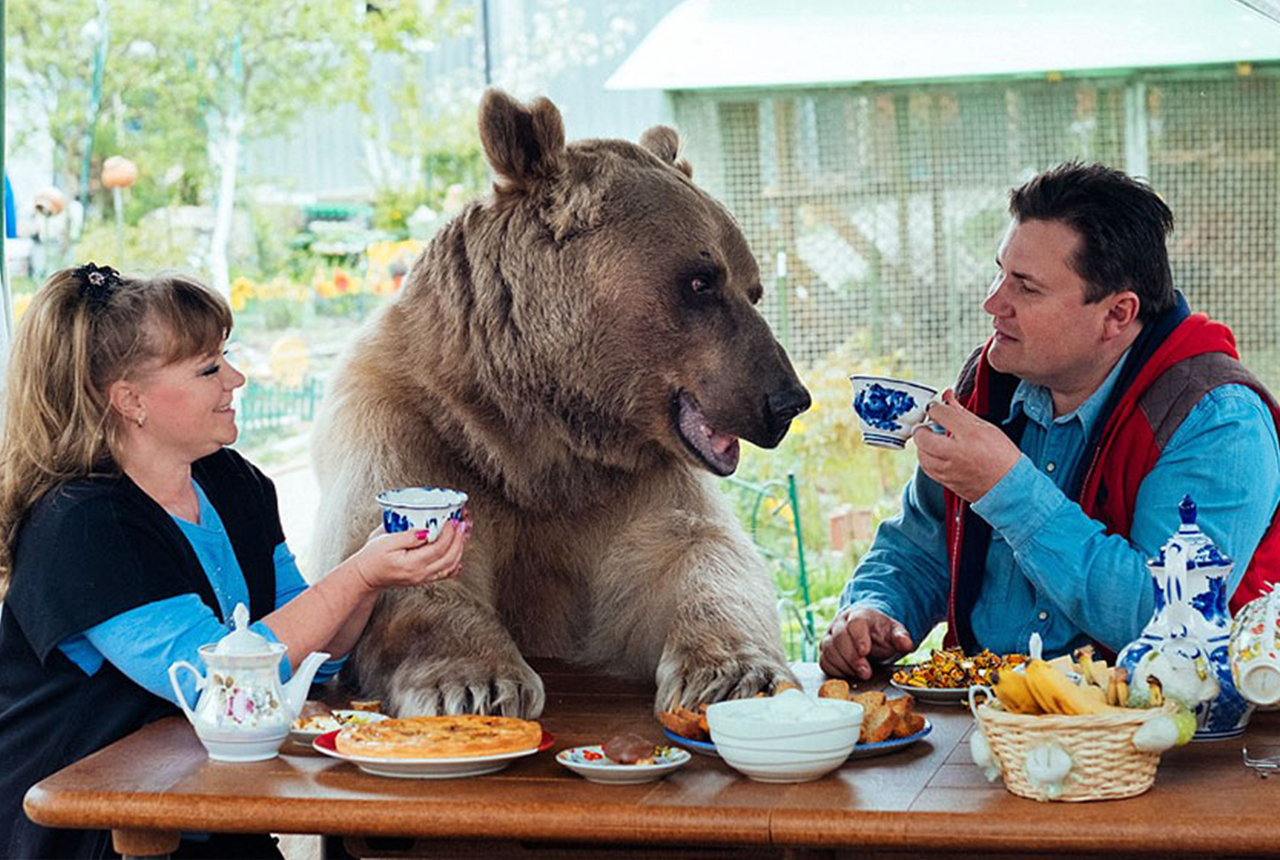 Russian couple adopted a bear