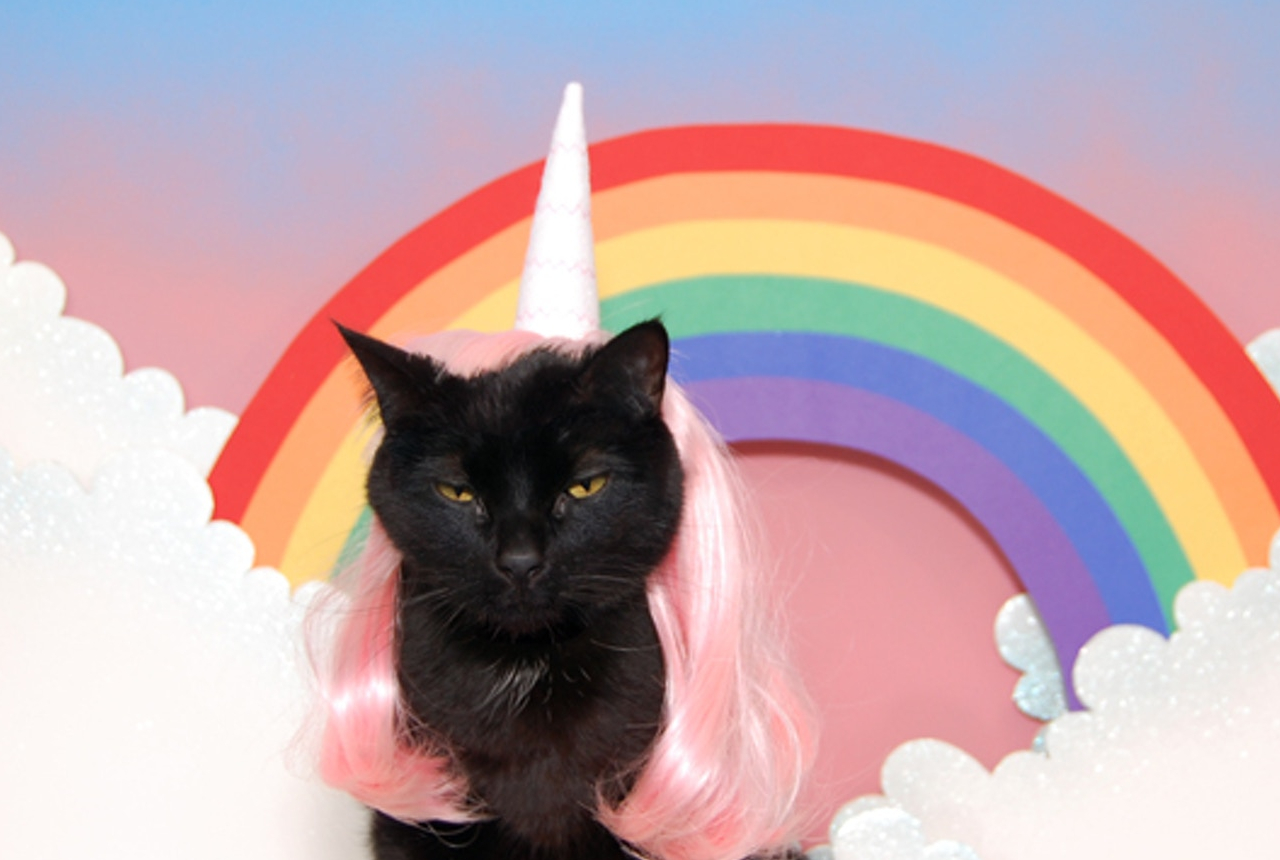 Weirdest Crowdfunding Campaigns