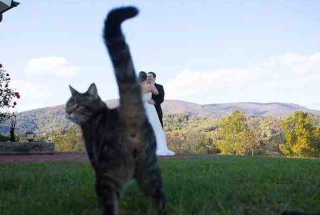 Photobombed by an unexpected guest