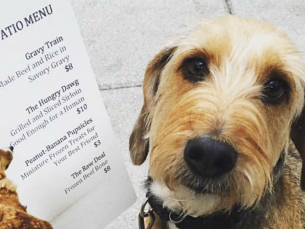 25-restaurants-with-secret-menu-items-for-dogs-page-12-obsev