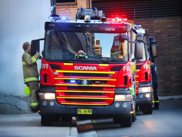 Dog Won’t Stop Looking Into Storm Drain, Then He Hears Noises From