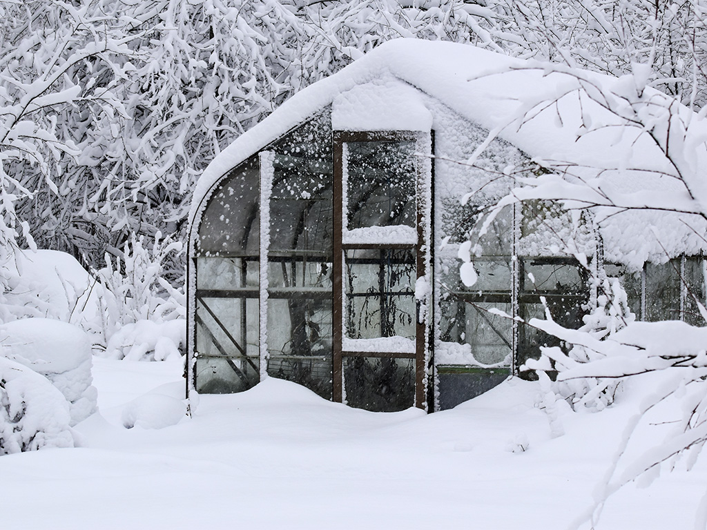 A greenhouse covered in snow in a forest