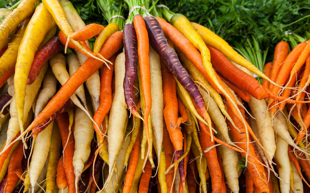Bundles of carrots